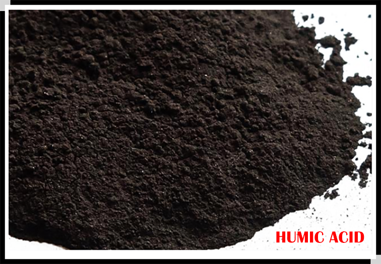 腐植酸.png